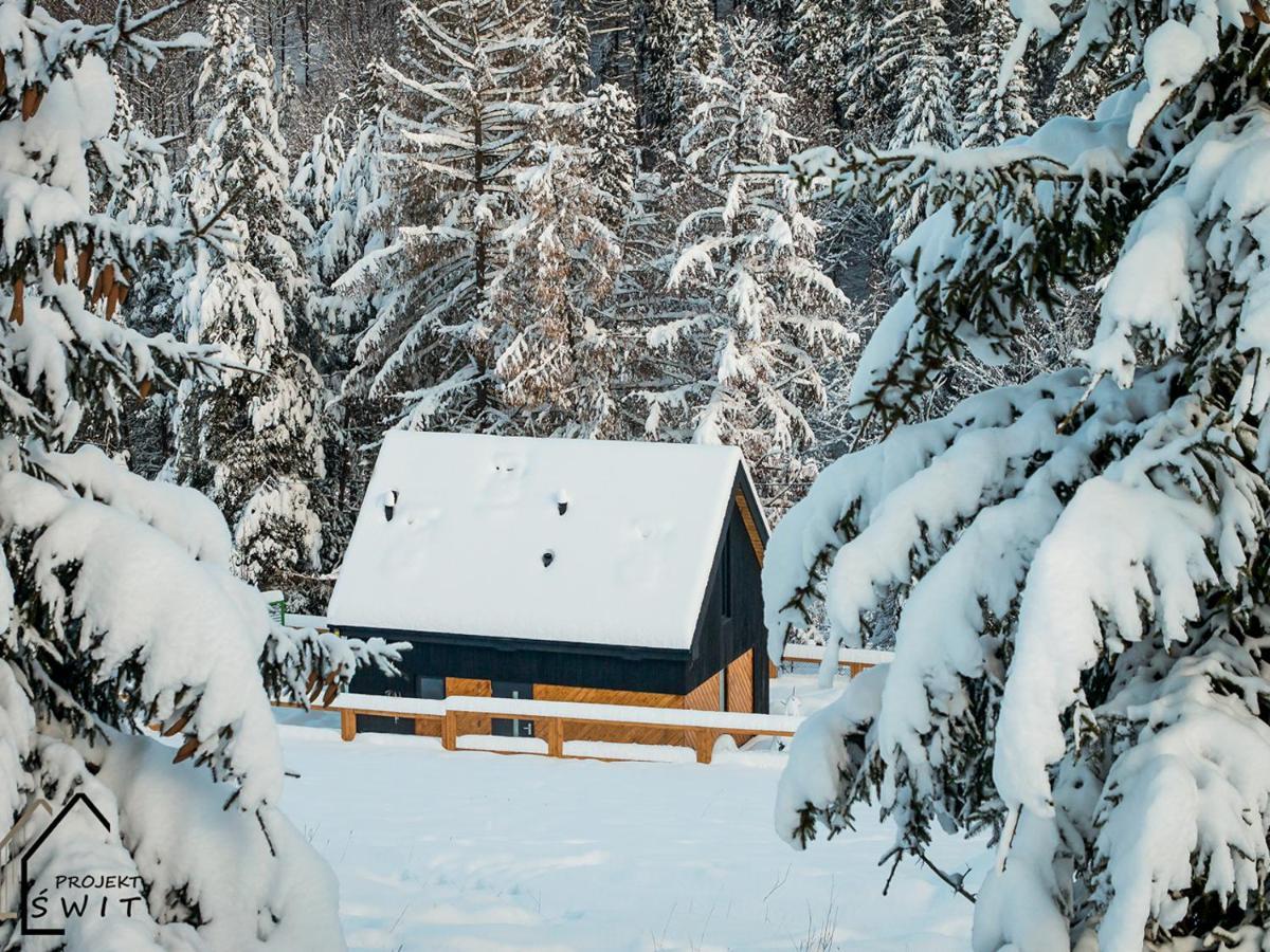 Projekt Swit - Domki Z Prywatna Jacuzzi I Sauna Żywiec Kültér fotó