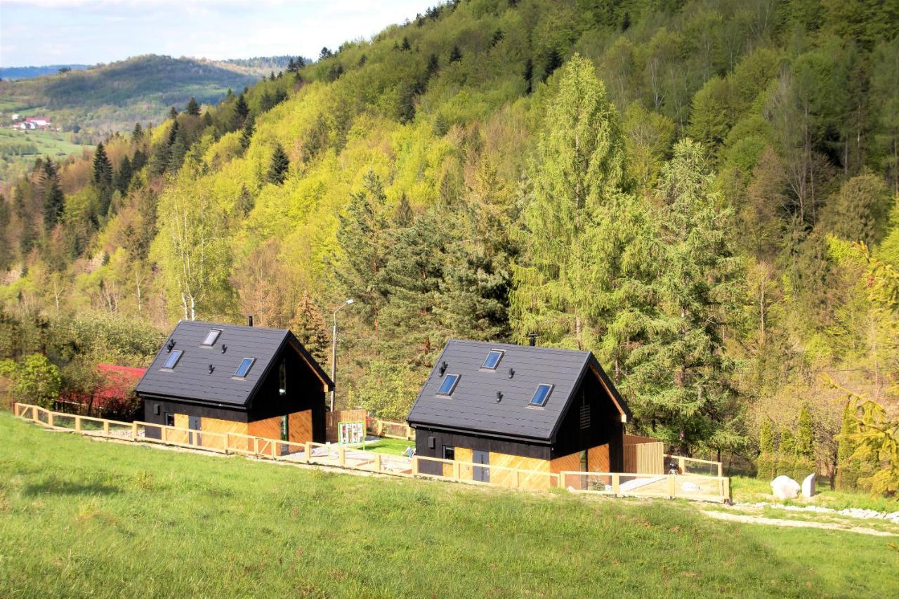 Projekt Swit - Domki Z Prywatna Jacuzzi I Sauna Żywiec Kültér fotó