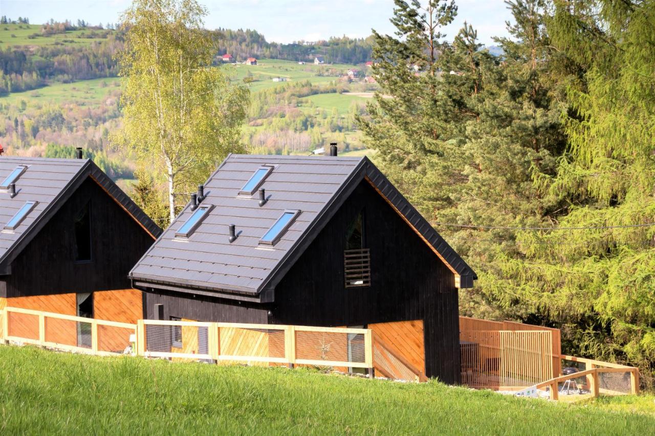 Projekt Swit - Domki Z Prywatna Jacuzzi I Sauna Żywiec Kültér fotó
